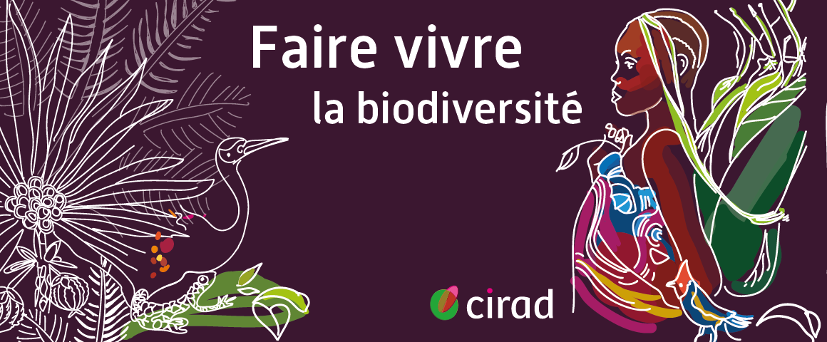 biodiversité - saison 2 du podcast du Cirad